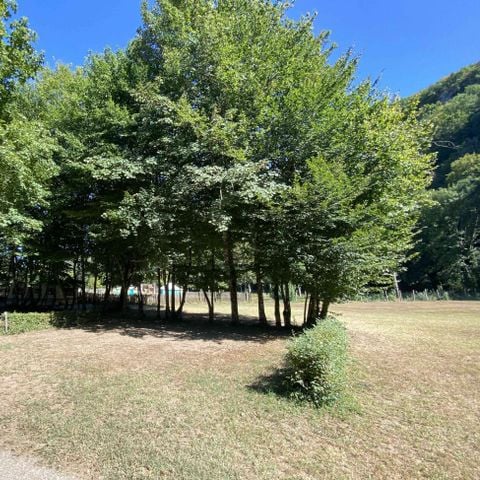 Pitch - Pitch + camper van 2 people