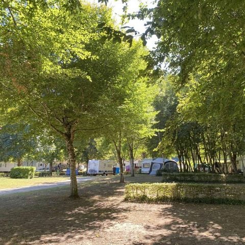 Pitch - Pitch + 1 car + tent or caravan