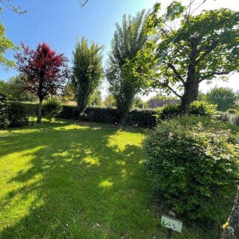 Pitch - Comfort package (tent, camping car or caravan + 1 car + 10A electricity)