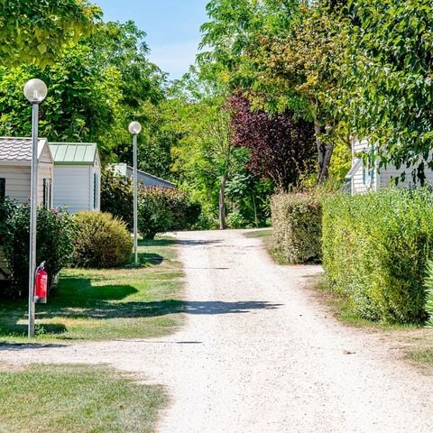 Flower Camping  Le Tiradou - Camping Dordogne - Image N°3