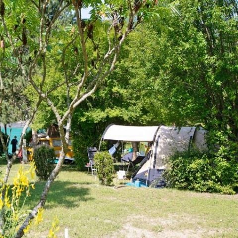 PLOT - Standard camping accommodation