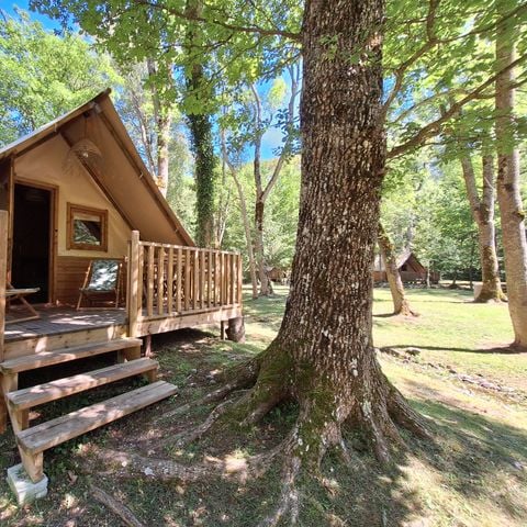 TENTE TOILE ET BOIS 4 personnes - Tente AMAZONE sans sanitaire 4 pers