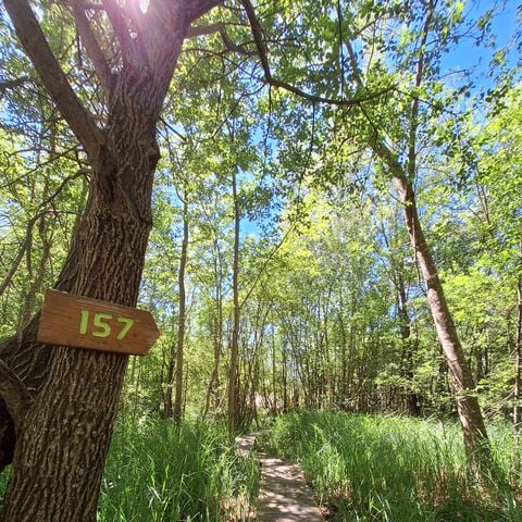 Safaritent 2 personen - Flo'Tente 2 pers