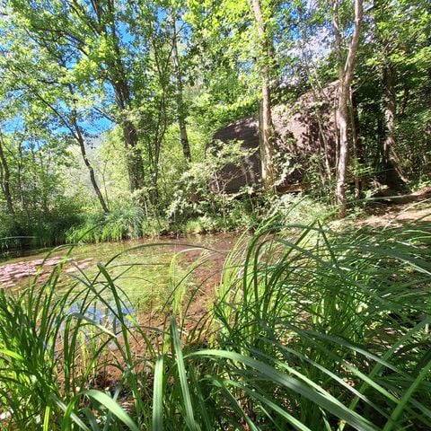 Chalet 2 Personen -  IGLOO-Hütte (ohne private Sanitäranlagen) 2 Pers.