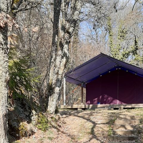 TENT 5 people - Standard Freeflower - Without sanitary facilities