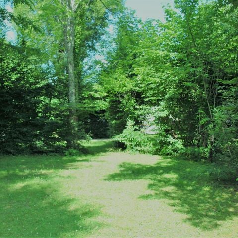 Pitch - Pitches with electricity