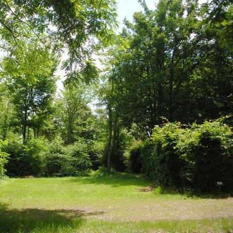 PIAZZOLA - Piazzole con elettricità