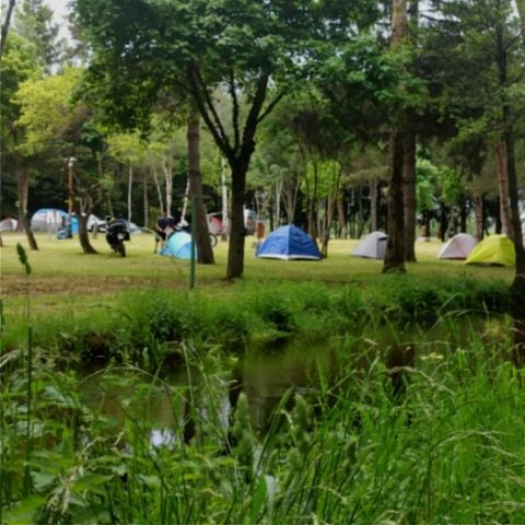 PIAZZOLA - Piazzola senza elettricità (2 veicoli max)