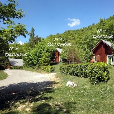 Chalet 5 Personen - Enzian 41