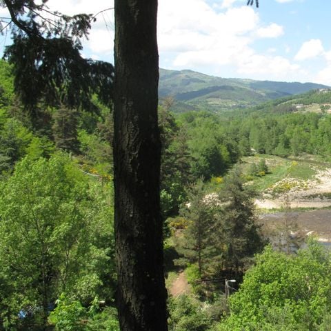 STAANPLAATS - Tent, caravan of camper