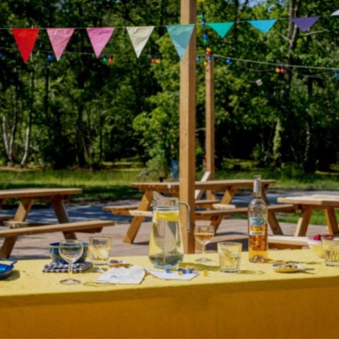 Kampeerplaats - Kaal veld