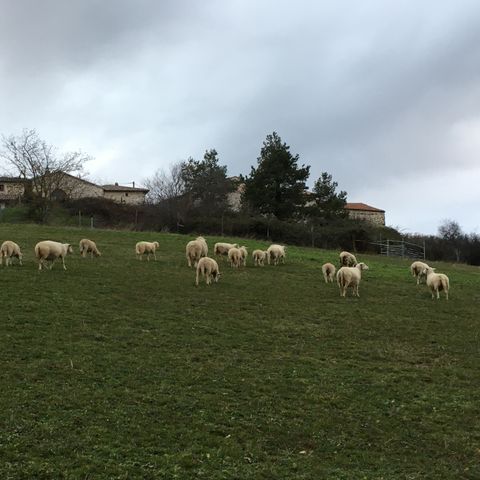 CASA DI CAMPAGNA 4 persone - Rurale