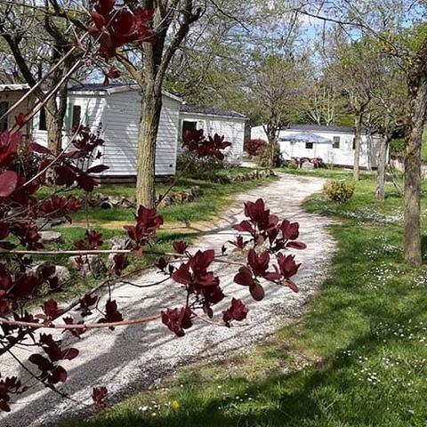 Mobile home 6 persons - TITANIA - 28m² - 2 bedrooms