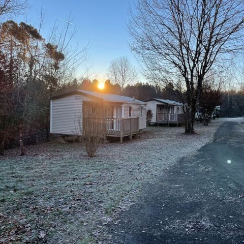 Mobilheim 4 Personen - Familiär Classic Ohara 784 2 Ch