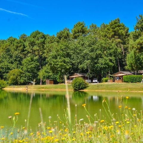 Chalet 5 persons - Chalet 1/5 pers with pond view. 1/5 pers