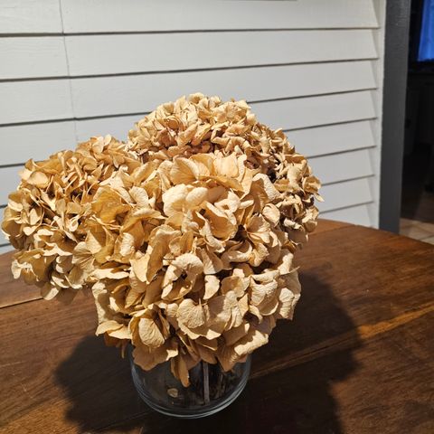 CHALET 5 personas - Chalet 1/5 pers con vista al estanque. 1/5 pers