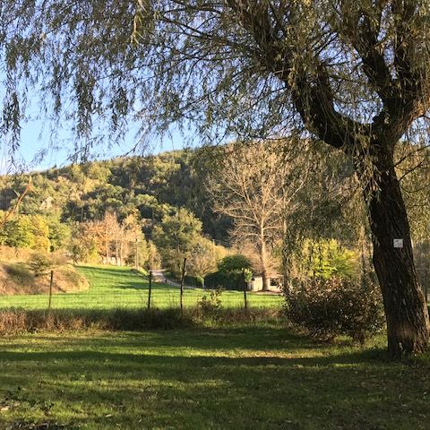 STAANPLAATS - met elektriciteit (tent + voertuig) - vaste prijs voor 2 personen