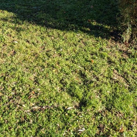 EMPLACEMENT -  nu confort TENTE -forfait 2 pers