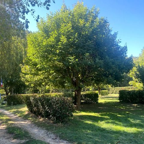 PIAZZOLA - 6 persone