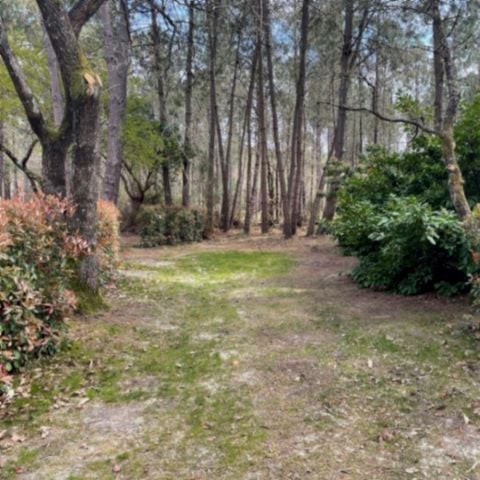 PARCELA - Tienda/Caravana con electricidad