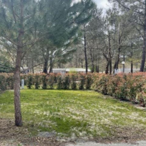 PIAZZOLA - Tenda/caravan con elettricità