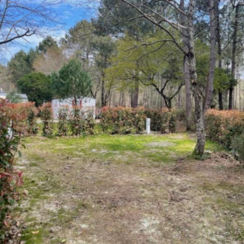 PLOT - Tent/Caravan with Electric