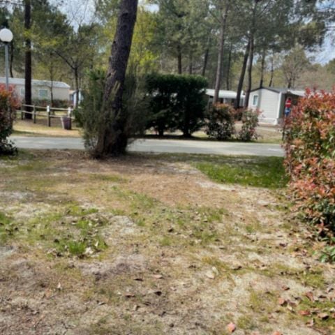 PARCELA - Tienda/Caravana con electricidad