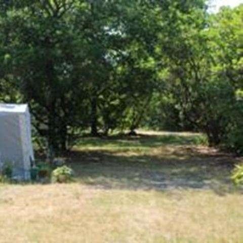 Kampeerplaats - ZUIVER CAMPING
