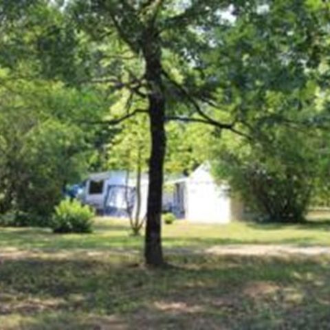 Kampeerplaats - ZUIVER CAMPING