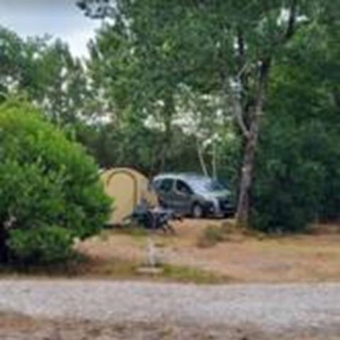Kampeerplaats - ZUIVER CAMPING