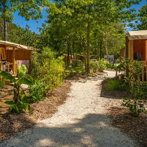 MOBILE HOME 6 people - Mobile Home 3 bed 6 bath Semi-covered terrace without air conditioning TV