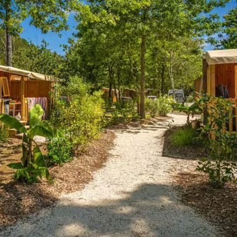 Stacaravan 4 personen - Stacaravan EVASIE