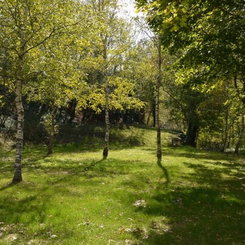 Pitch - Great comfort Near swimming pool, tents only