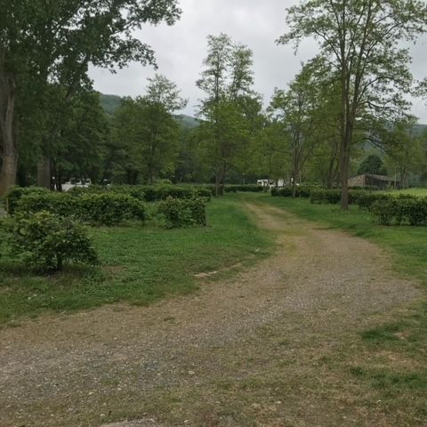 PIAZZOLA - Piazzola - pacchetto 2 persone - veicolo - tenda o roulotte