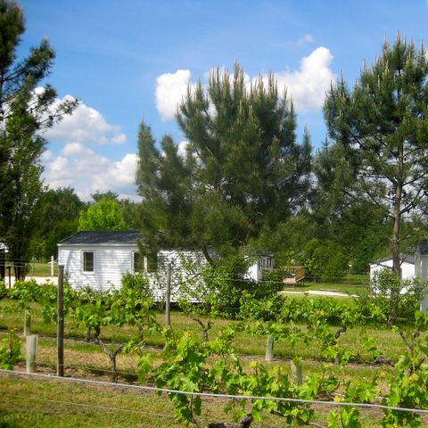 MOBILE HOME 4 people - Mobile home 4 persons