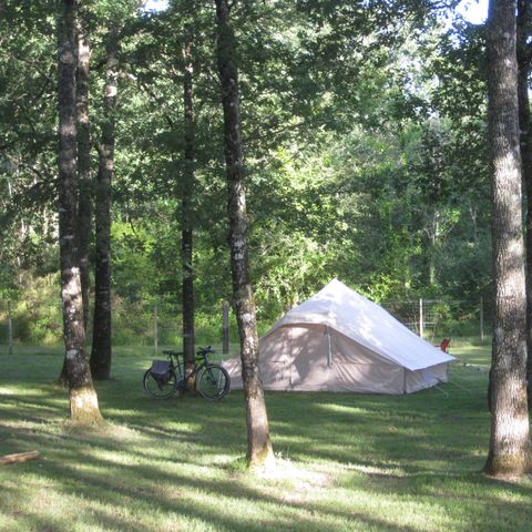 Stellplatz - Stellplatz 2 Personen + 1 Auto