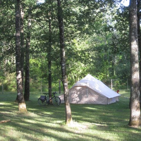 Stellplatz - Stellplatz 2 Personen + 1 Auto