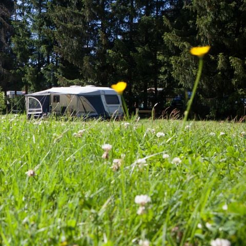 Kampeerplaats - Omgeving 4*
