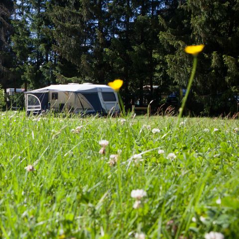 PIAZZOLA - Privilège Panoramique 4*