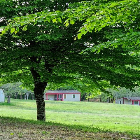 Chalet 4 Personen - Chalet 38m² - 2 Zimmer (Person mit eingeschränkter Mobilität)