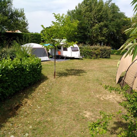 STAANPLAATS - Comfortpakket (1 tent, caravan of camper / 1 auto / 10A elektriciteit)