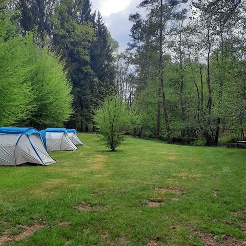 Pitch - Tent + Car - Electricity extra