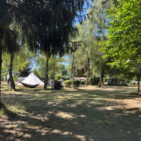 Pitch - Location