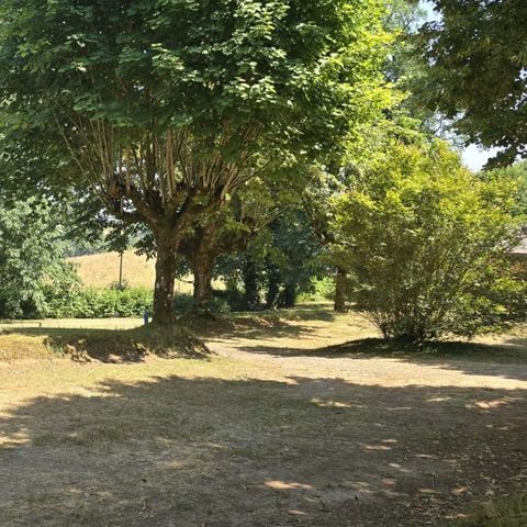 PIAZZOLA - Pacchetto comfort (2 persone, 1 veicolo, con elettricità)