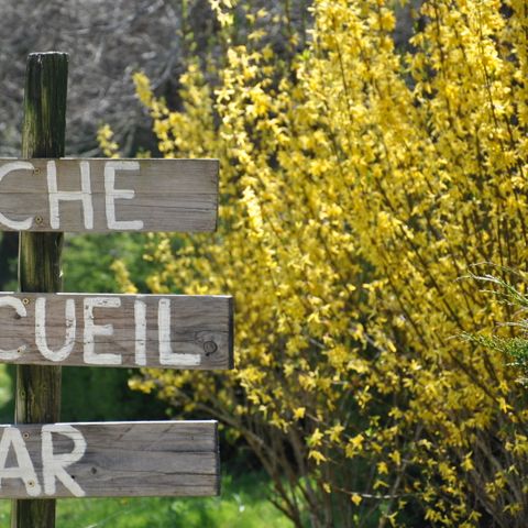 Camping Le Moulin Du Châtain - Camping Dordogne - Afbeelding N°2