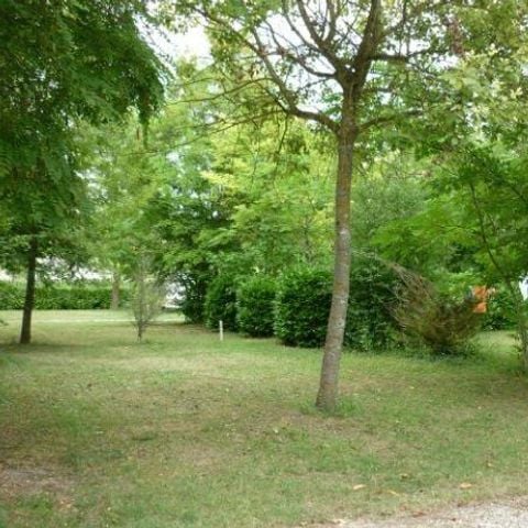 PLOT - COMFORT with eléc / tent, caravan or motorhome - 100 to 200m² ELECTRICITY INCLUDED