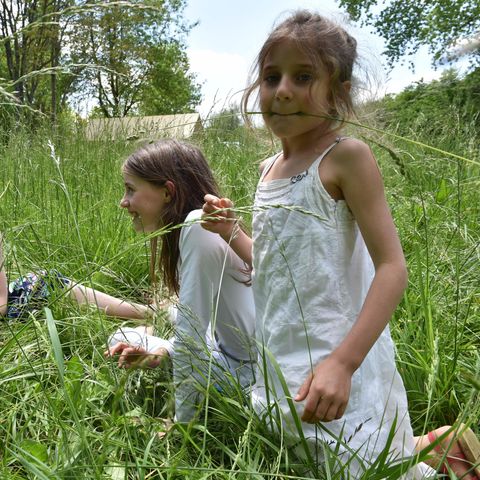 Stellplatz - NATURE ohne Strom / Zelt, Wohnwagen oder Wohnmobil - 100 bis 200m² (OHNE STROM)