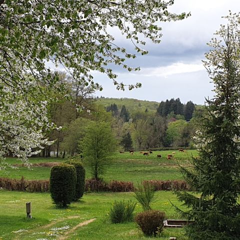 PLOT - Pitch M 85-99m