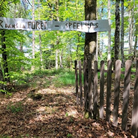 Stellplatz - Stellplatz XL 141-220m²