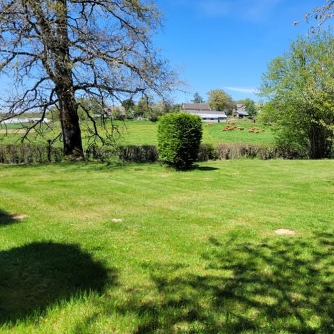 EMPLACEMENT - XXL 300m²